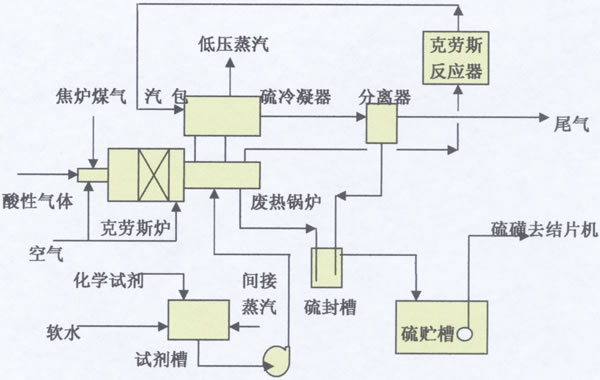 圖片7